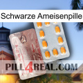 Black Ant Pill new13